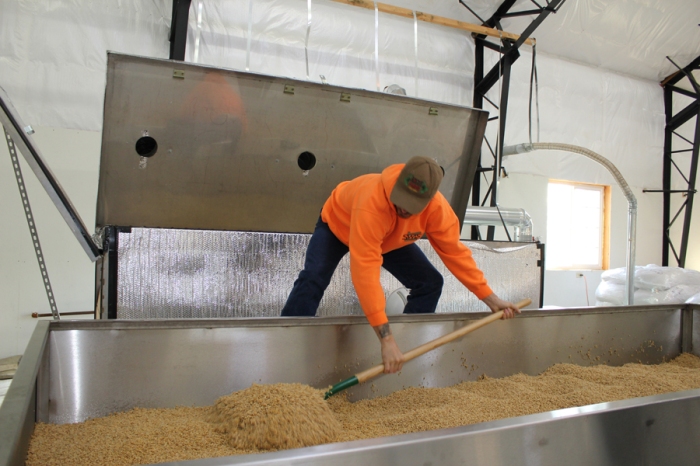 Micro Malting is hands on hard work.. Eric flips and rakes the barley to help things along.